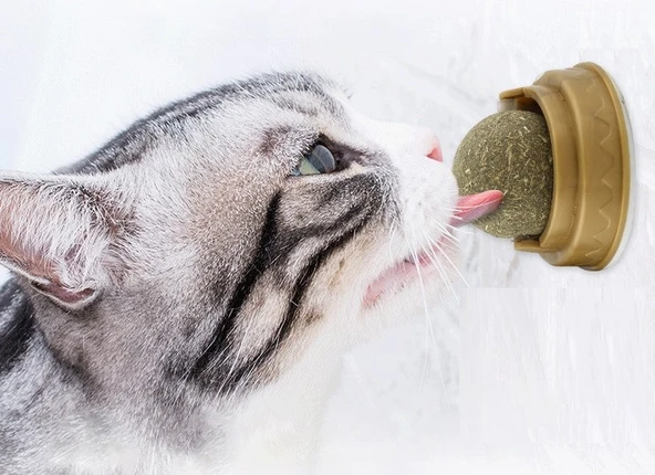 Kedi Otu Oyun Topu ürün görseli 1