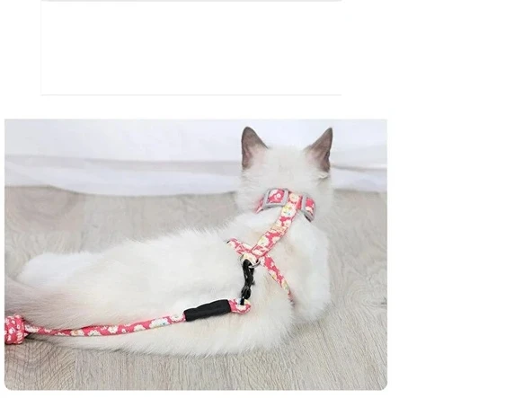 Kedi Gezdirme Göğüs Tasması - Resim 2