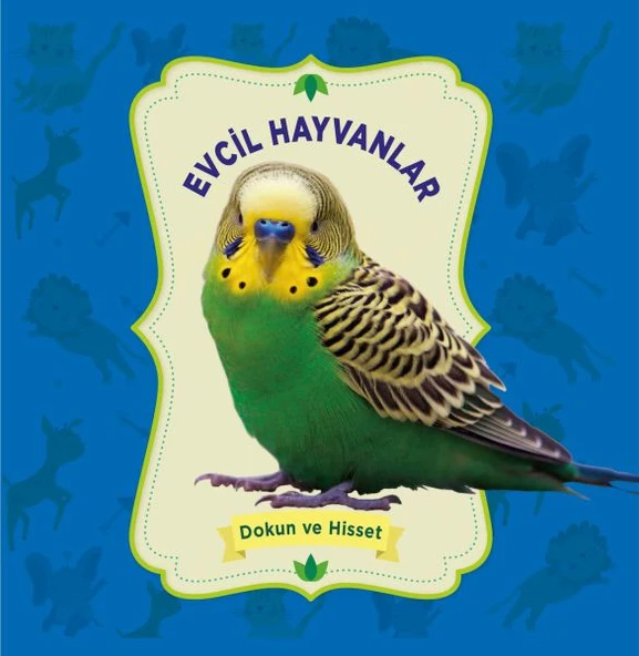 Evcil Hayvanlar - Dokun ve Hisset ürün görseli
