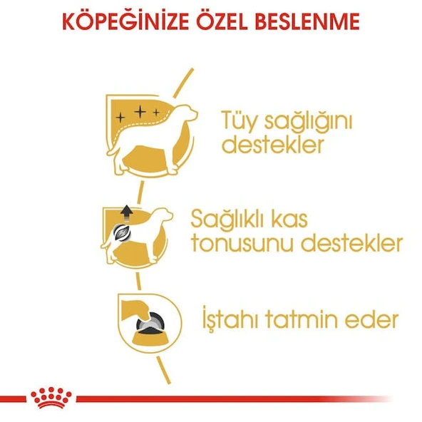 Royal Canin Poodle Adult Yetişkin Pouch Köpek Konserve Yaş Maması 85 Gr. - Resim 3