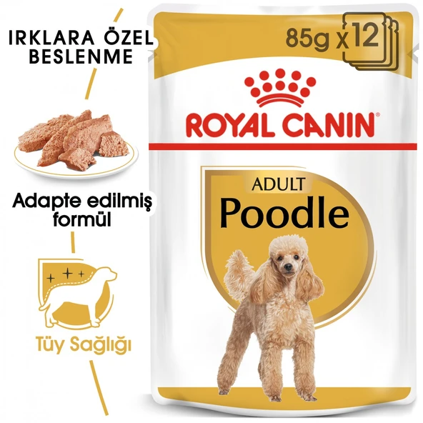 Royal Canin Poodle Adult Yetişkin Pouch Köpek Konserve Yaş Maması 85 Gr. ürün görseli