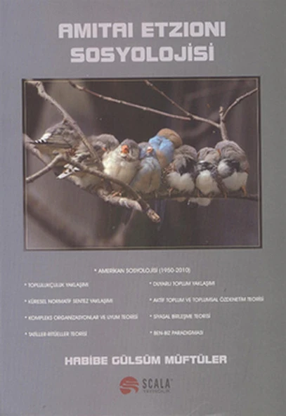 Amitai Etzioni Sosyolojisi ürün görseli