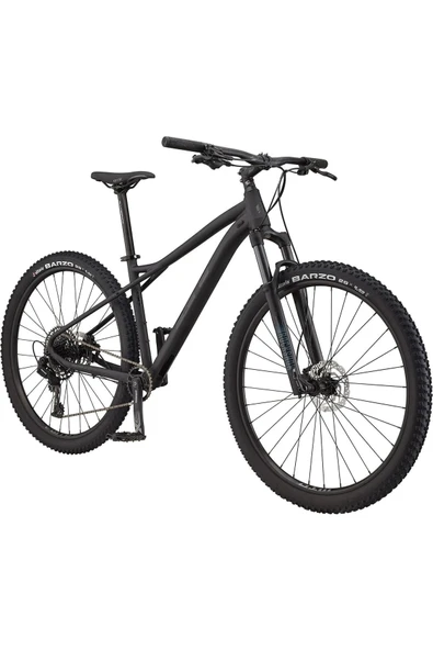GT Avalanche Expert 29 Jant Dağ Bisikleti - Bbq Mat Siyah - 2