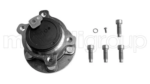 CIFAM 6192920 ARKA AKS RULMANI PORYALI S.MAX GALAXY BM 06>15 6G912C299AAE-6G912C299AAD-AG9C2B664 ürün görseli