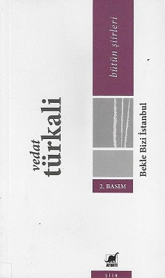 Bekle Bizi İstanbul Eski Şiirler Yeni Türküler Vedat Türkali Ayrıntı Yayınları ürün görseli
