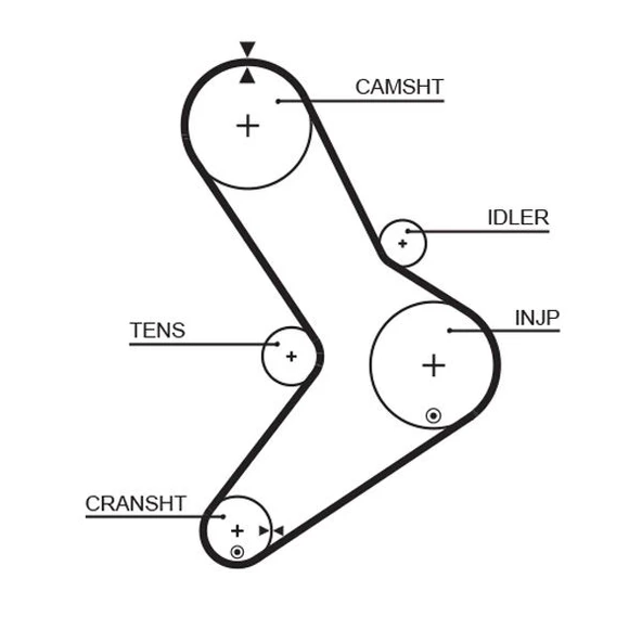 GATES 5334XS TRİGER KAYIŞI 152x300 MOVANO-MASTR 2.5D 152 DİŞ GD152H95P300 CT1038 7701043483-4401429-0816.E5 ürün görseli 1