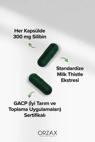 OCEAN Milk Thistle 30 Tablet 8697595872031 - 3