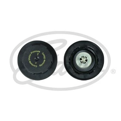 GATES RC250 RADYATOR YEDEK SU DEPO KAPAGI LAND ROVER DEFENDER L663 L319 L462 RANGE ROVER L405 L494 L560 . JAGUAR S-TYPE II X200 F-PACE X761 XE X760 XF I X250 XF II X260 XJ X350 X358 LR017427-C2P17700 ürün görseli