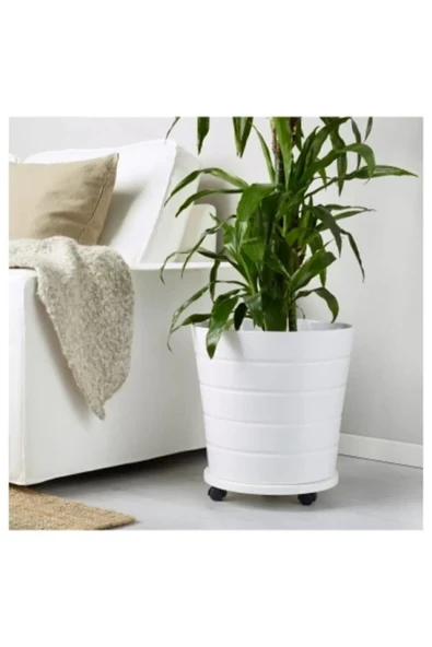 Berra Ahşap Tekerlekli Damacana - Tüp - Çiçeklik Altlığı ürün görseli 1