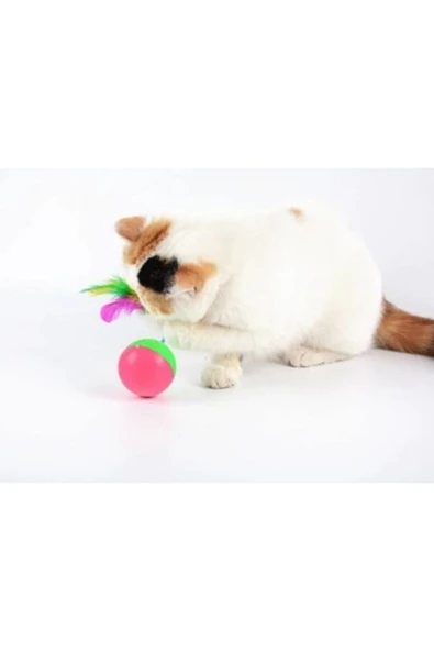 Store Kedi Fare Hacıyatmaz Oyunu - 2