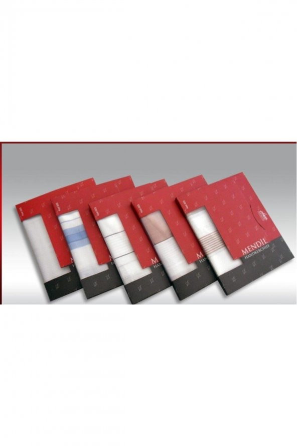 LORD 5 ADET ERKEK MENDİLİ 003 - 3