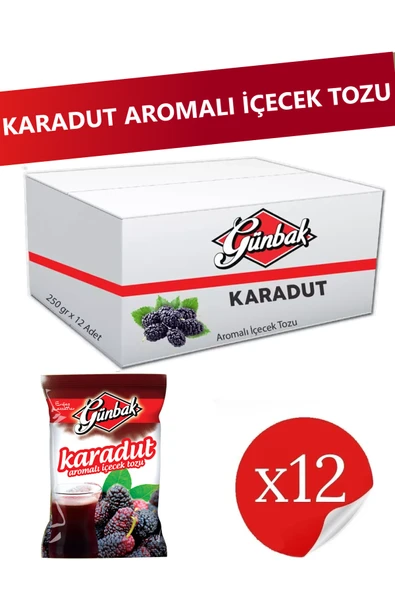 Günbak Karadut Aromalı Toz İçecek 250 gr x 12 Adet ürün görseli