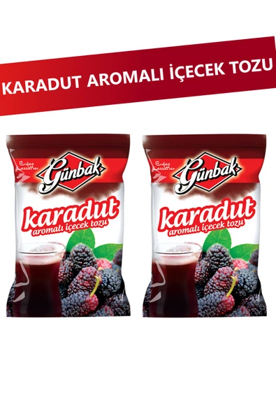 Günbak Karadut Aromalı Toz İçecek 250 gr x 2 Adet ürün görseli