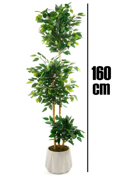 Yapay Çiçek Beton Saksıda Benjamin Salon Balkon Ev Ağacı Yeşil Bitkisi Bambu Gövdeli 160 cm - 2