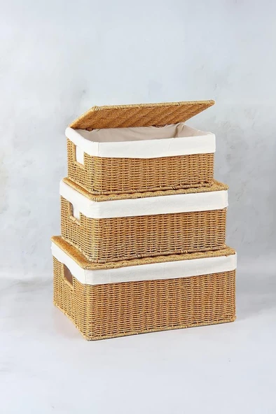 Digithome 3’lü Kapaklı Hasır Organizer Sepet- 1376 - Resim 3