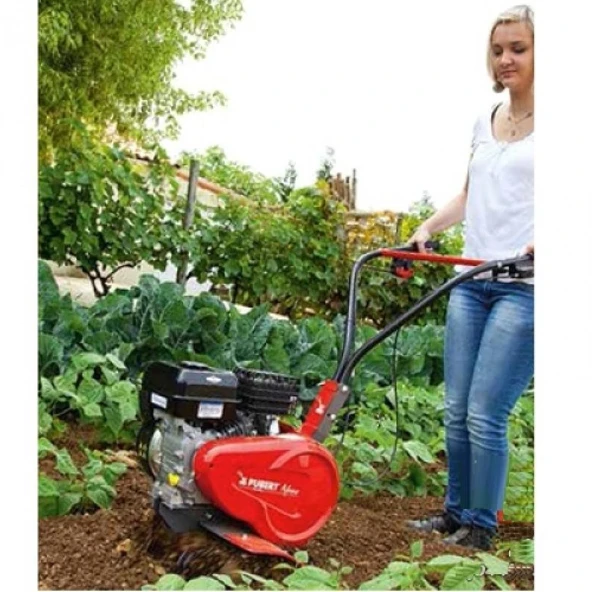 Pubert Nano R80 Benzinli Çapa Makinası - 2