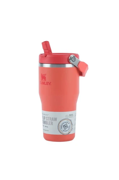 Stanley The IceFlow™ Flip Straw 2.0 Tumbler 0.6L / 20oz - Resim 5
