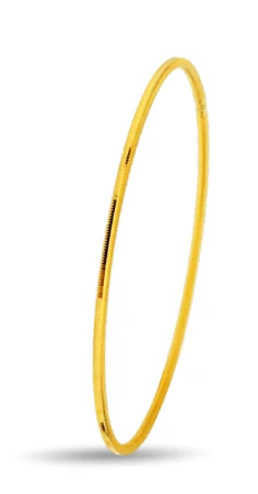 22 Ayar 10 Gram Müjde Bilezik ürün görseli