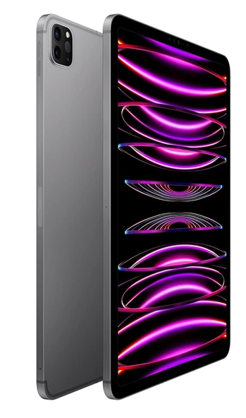 iPad Pro 11 inç (4. Nesil) M2 Wi-Fi + Cellular 1TB MNYJ3TU/A - Uzay Grisi - Resim 2