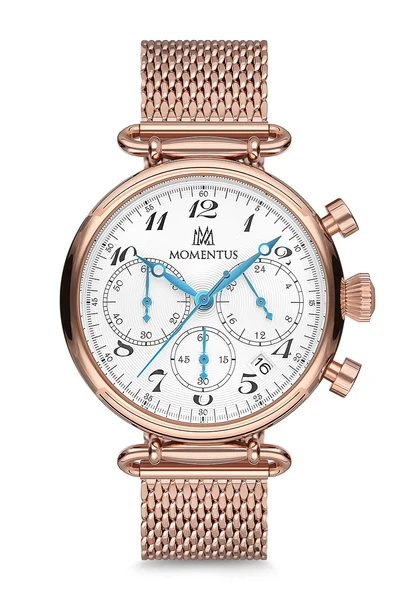 MOMENTUS TC250R-02SR Kadın Kol Saati ürün görseli