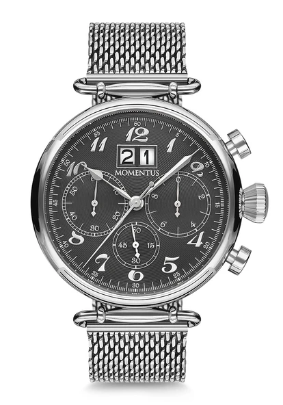 MOMENTUS TM250S-04SS Erkek Kol Saati ürün görseli