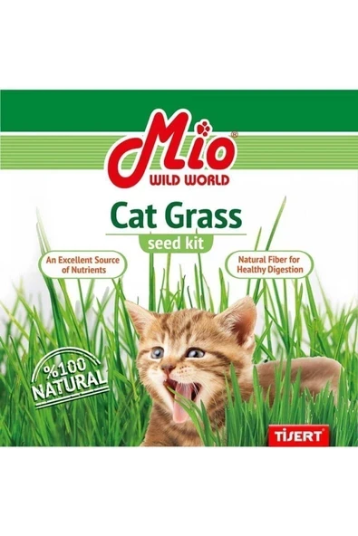 MİO Fileli Kedi Çimi