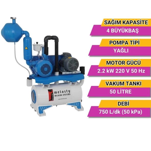Melasty Süt Sağım Sistemi Vakum Pompa Seti (220V-50Hz-2,2kW) (750 L/dk - Yağlı) - Resim 2
