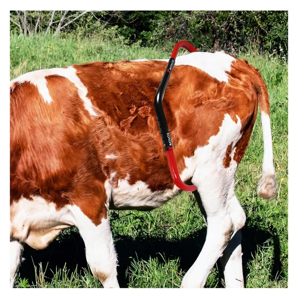 Melasty Tekmesavar (Boyalı) - Resim 4