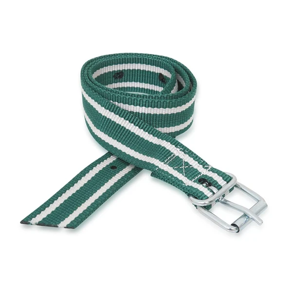 Melasty Kemer Tokalı İnek Tasması - Numaratör Kayışı (Yeşil - 130 Cm) ürün görseli