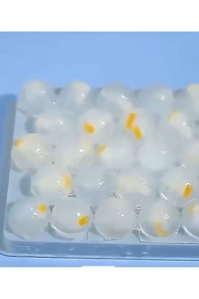 Büyük Boy 33 Gözlü Yuvarlak Kapaklı Buz Topu Yapma Kalıbı Pratik Hazneli Kapaklı Buzluk - Resim 4