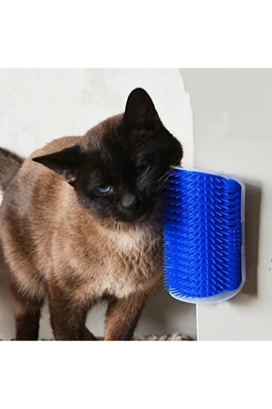 Cat It Kedi Kaşınma Aparatı - Resim 3