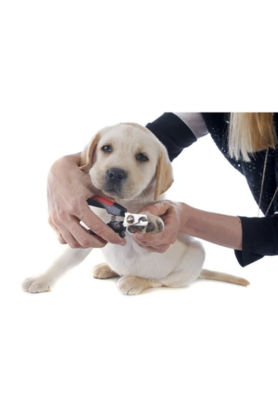 Kedi Köpek Evcil Hayvan Yaylı Tırnak Düzeltme Kavisli Kesme Makas ürün görseli 1