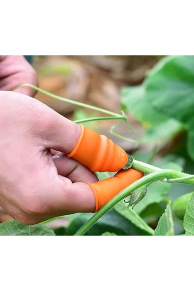 Pratik Baş Parmak Sebze Kesme Ayıklayıcı M Set - Resim 3