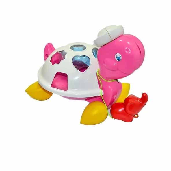 Bultak Kaplumbağa ürün görseli 1