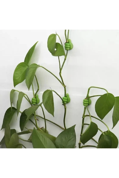 KarışıkRenk 6 Adet Başparmak Kablo Tutucu Yapışkanlı Diş Fırçası Anahtarlık Bitki Tutucu - 2