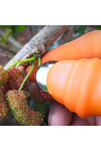Meyve Toplama Sebze Ayıklama Bahçe Keyfi Sepet En Keyifli Sepet Bıçaklı Silikon Parmak Koruyucu - Resim 4
