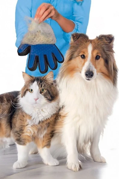 Kedi Köpek Evcil Hayvanlar Tüy Toplama Eldiveni Kullanışlı - Resim 3