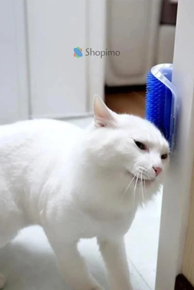 Kedi Kaşınma Aparatı - Duvara Monte Edilebilir Tüy Toplayıcı & Masaj Fırçası - Resim 4