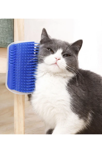 Kedi Tarağı & Rahatlatıcı ürün görseli