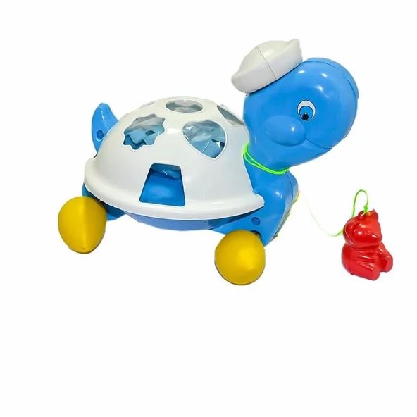 Bultak Kaplumbağa - Resim 2