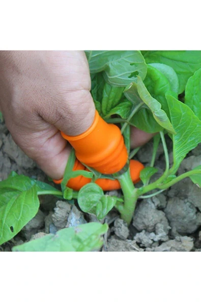 Silikon Parmak Koruyucu Meyve Toplama Aracı Bahçe Kesme Bıçak Eldiven - Resim 3