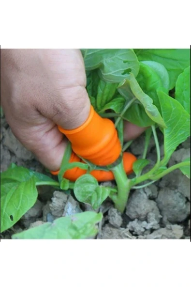 Silikon Parmak Koruyucu Meyve Toplama Aracı Bahçe Kesme Bıçak Eldiven-ab ürün görseli 1