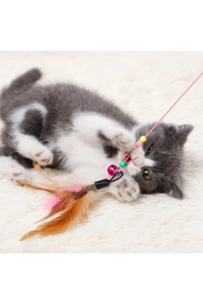 Yeni Estevia Dp Kedi Oyun Oltası 90 Cm Company - Resim 3