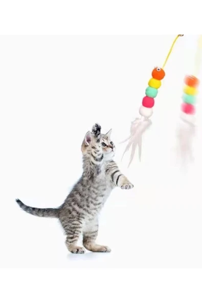 Yeni Estevia Krg Pratik Elastik Kendinden Yapışkanlı Kedi Oyun Oltası Company - 4