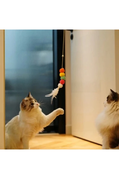 Yeni Estevia Krg Pratik Elastik Kendinden Yapışkanlı Kedi Oyun Oltası Company - 5