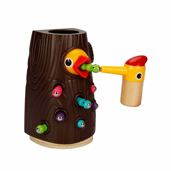 Woody Manyetik Ağaçkakan Besleme Oyunu 10 Parça - Resim 2