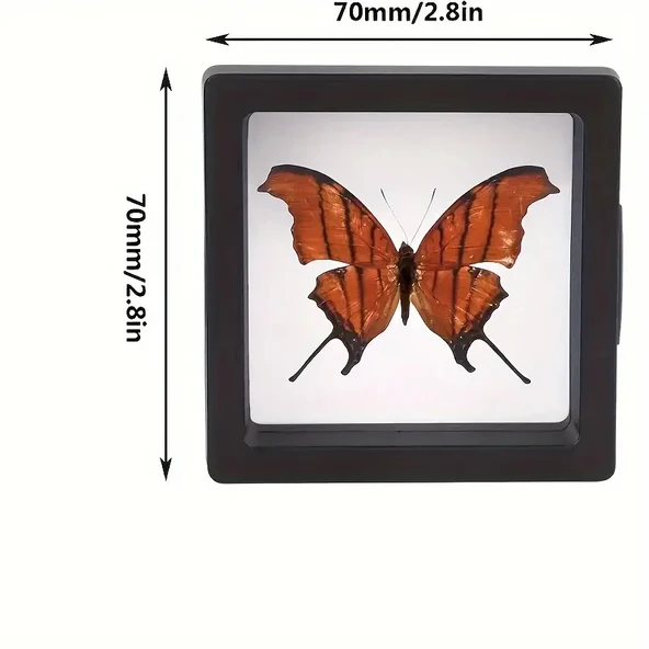 Güneşe dayanıklı 3 adet gümüş takı yada kolleksiyon koruma kutusu - Resim 2