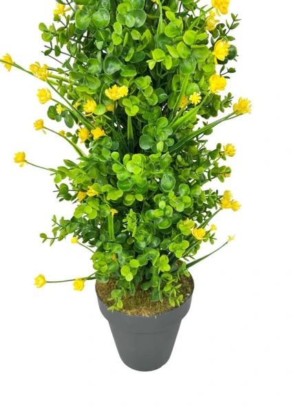 Yapay Çiçek Siyah Saksıda Sarı Lotuslu Yeşil Şimşir Ağacı 70*30cm - Resim 3