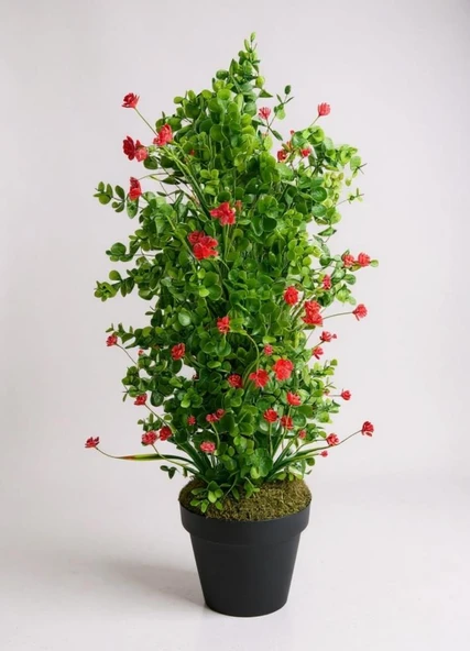 Yapay Çiçek Siyah Saksıda Kırmızı Lotuslu Yeşil Şimşir Ağacı 70*30cm - Resim 2