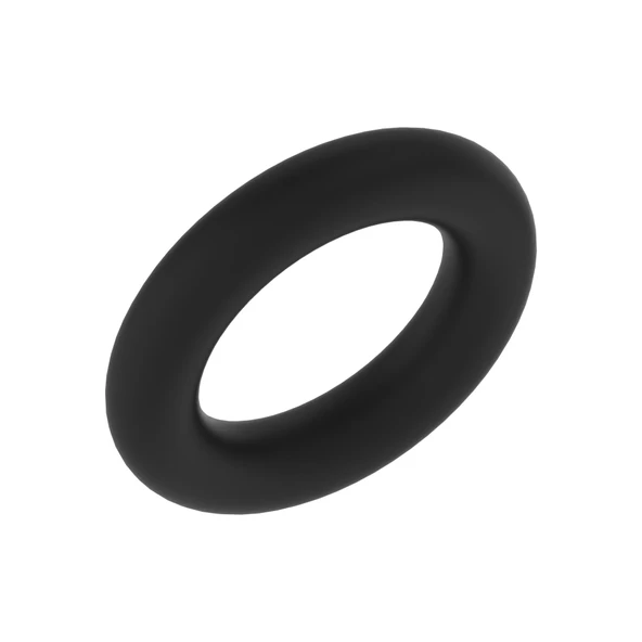 O-RİNG L169999 ürün görseli